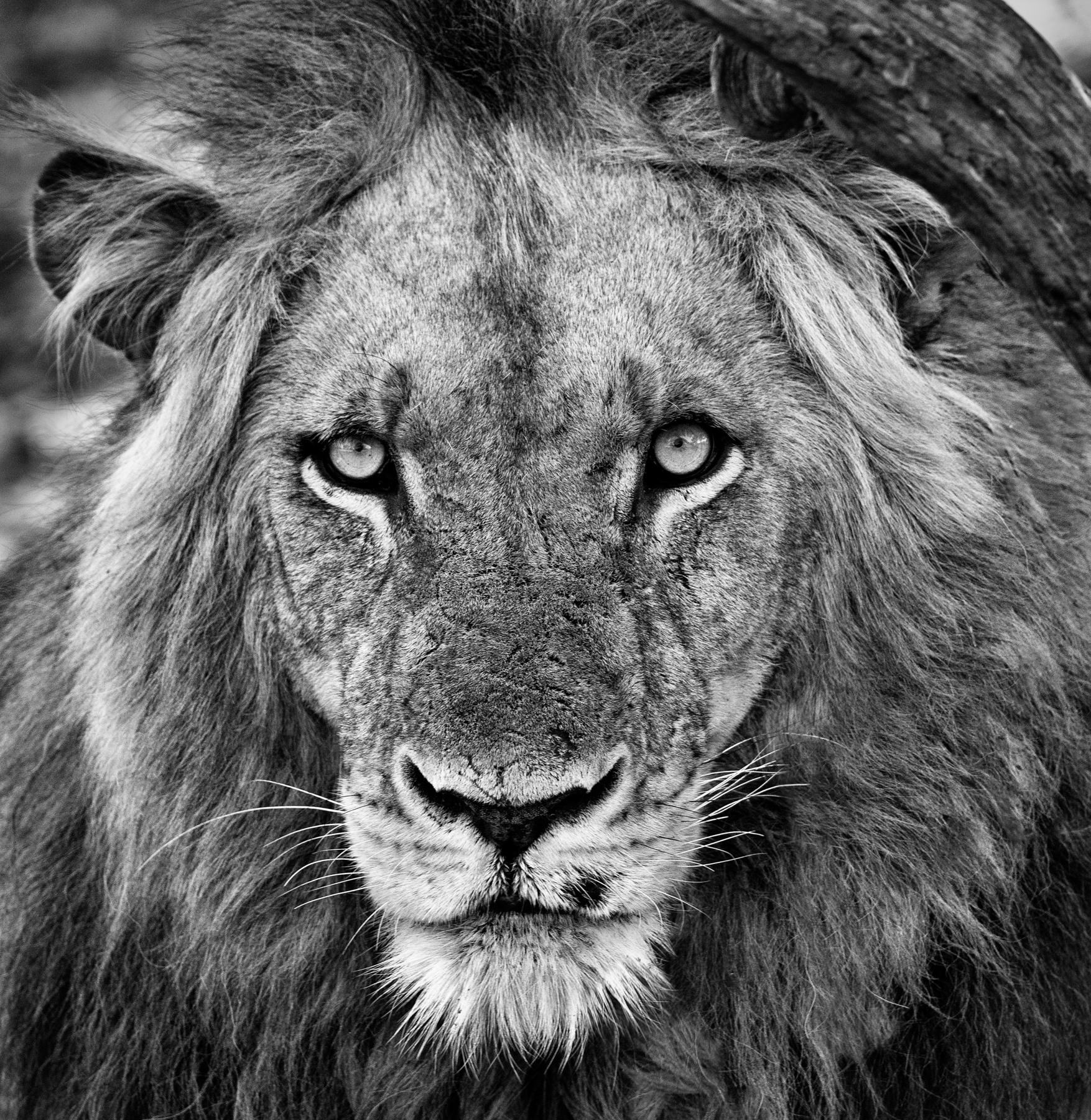 DSC_1888-Edit-Edit.jpg