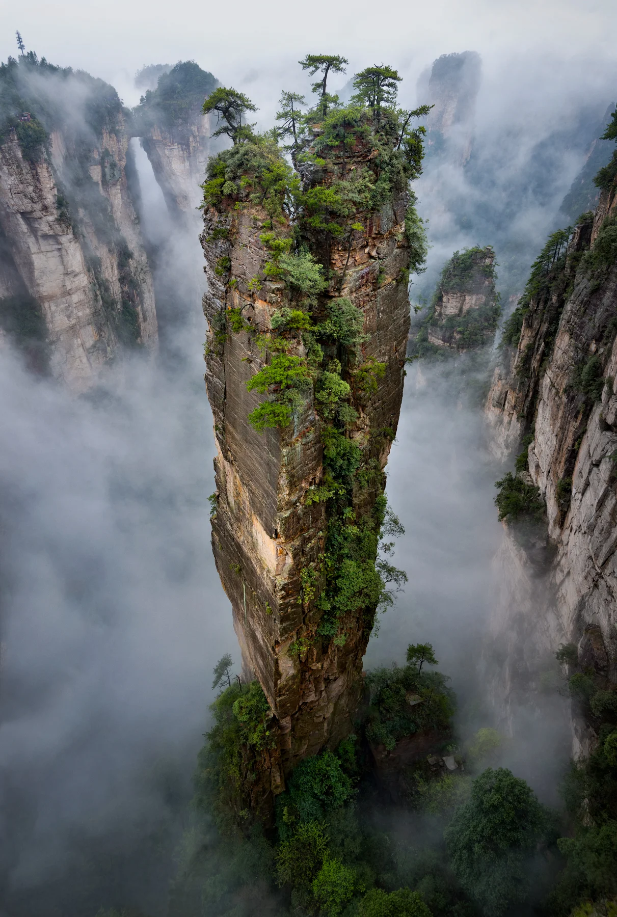DSC_2015-2-Edit_03_QC.jpg