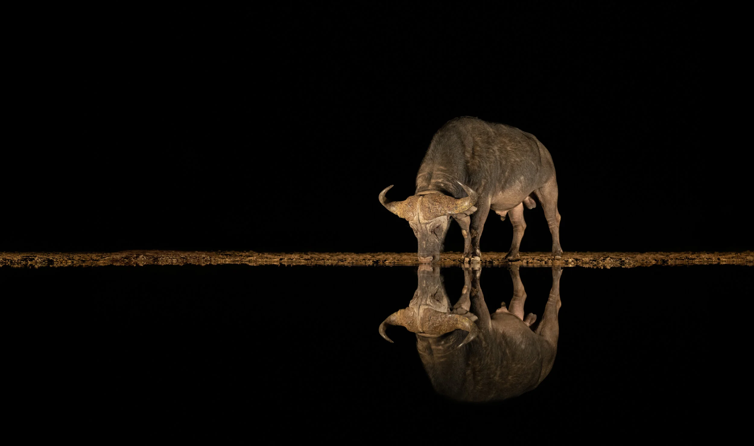 _DSC9105-Edit-Edit (90x60 clone)-Edit.jpg