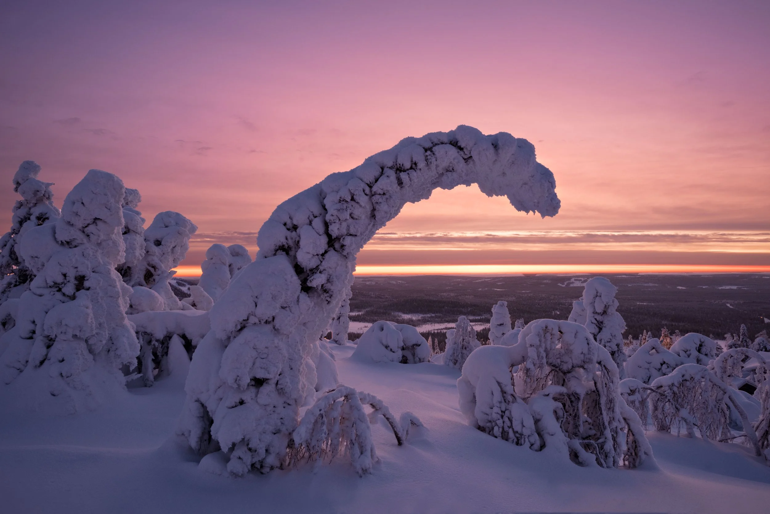 DSC_7995-Edit-2.jpg