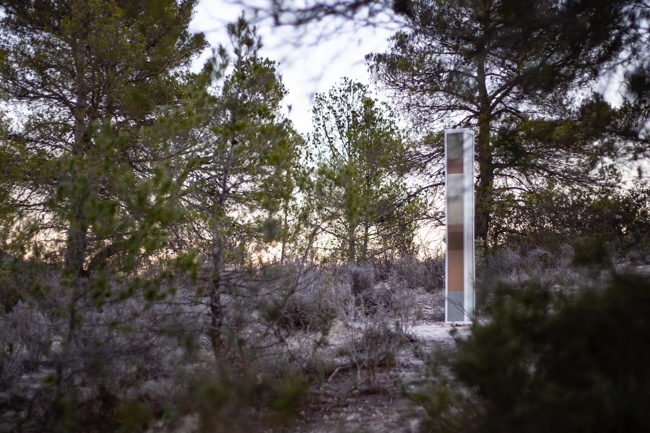 Bajo la Sierra Larga, 2025