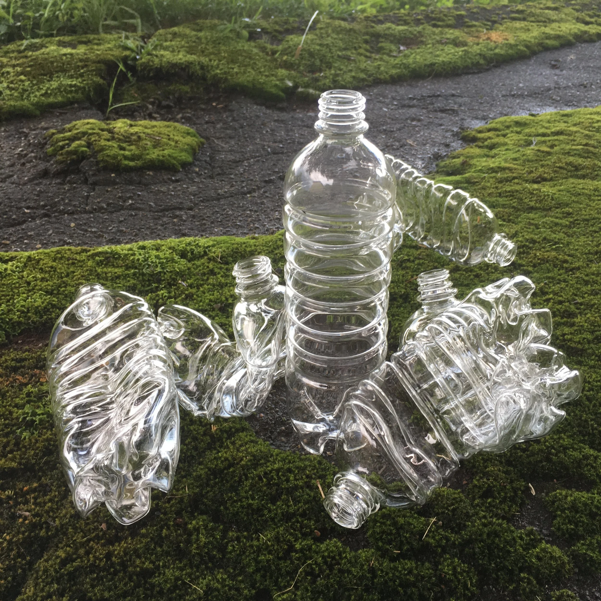 a very noisy vase2.jpeg