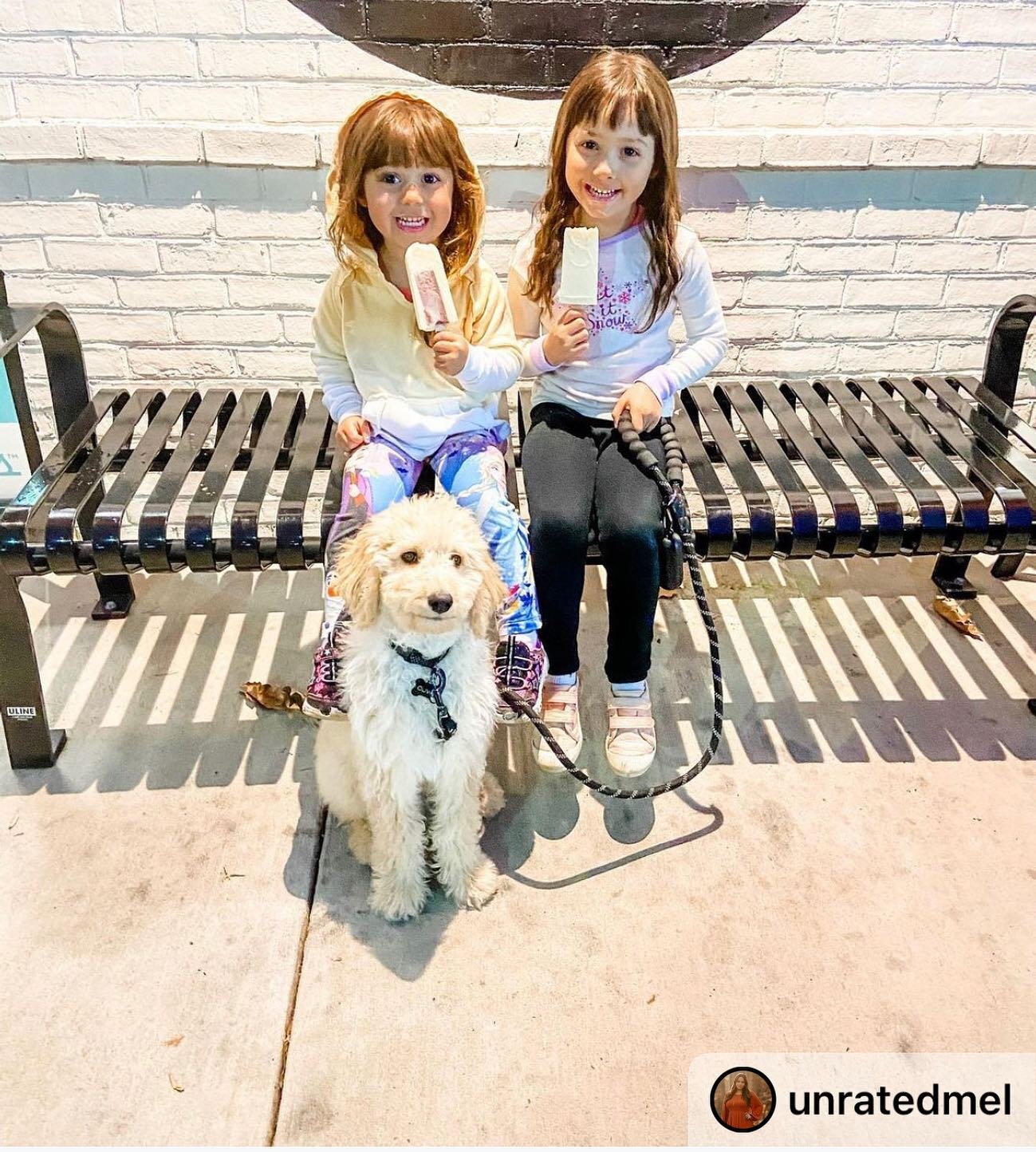 This is almost too much cuteness for one picture!! @unratedmel popped by the patio yesterday with these 3! 

If those smiles don&rsquo;t brighten your day, we aren&rsquo;t sure what will 😊

#velopops #velopopsclt #hellovelo #puppop # sunnysmiles #po