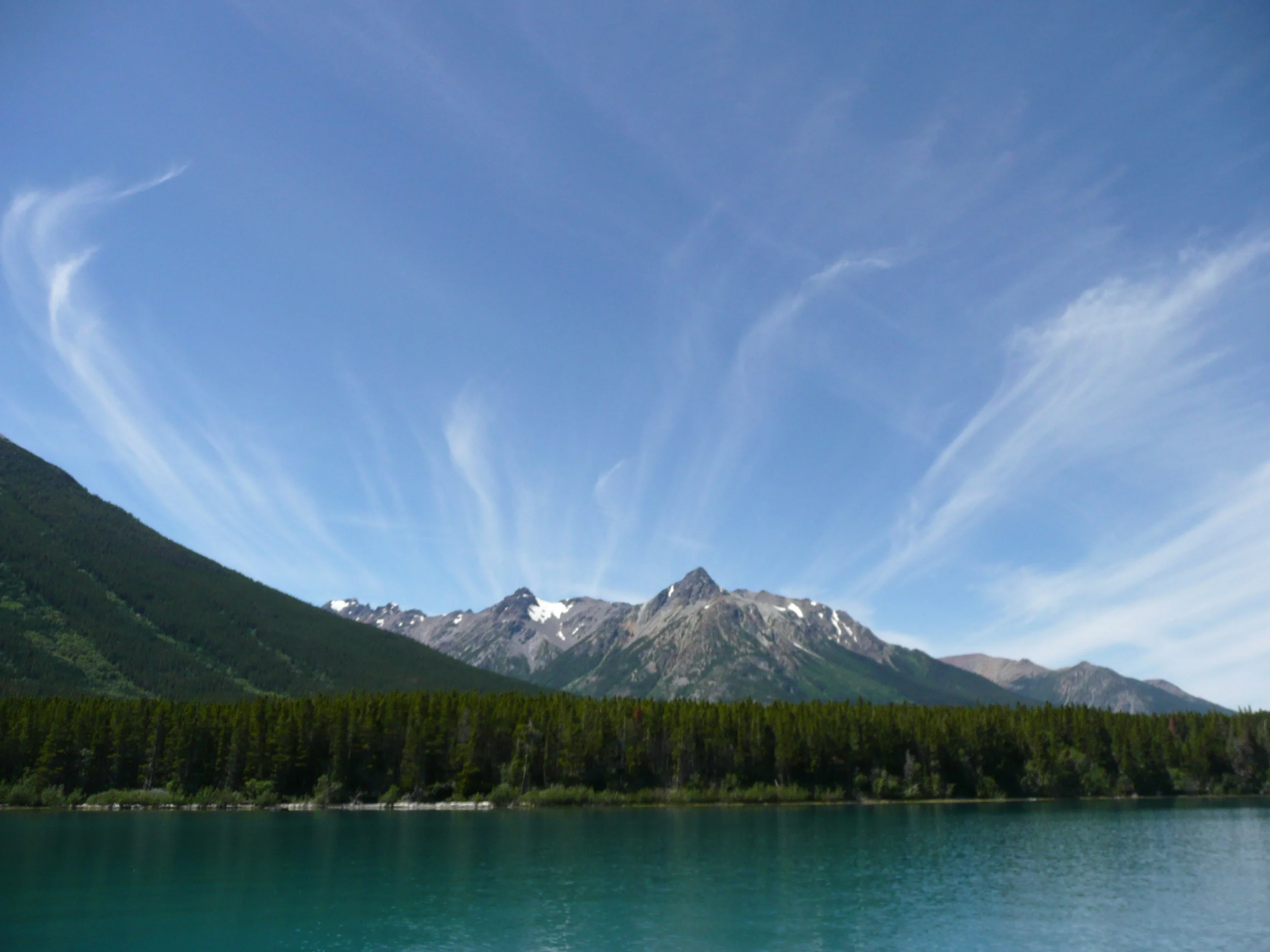 Three Traits the Innovator Mindset and Survivor Mindset Have in Common!