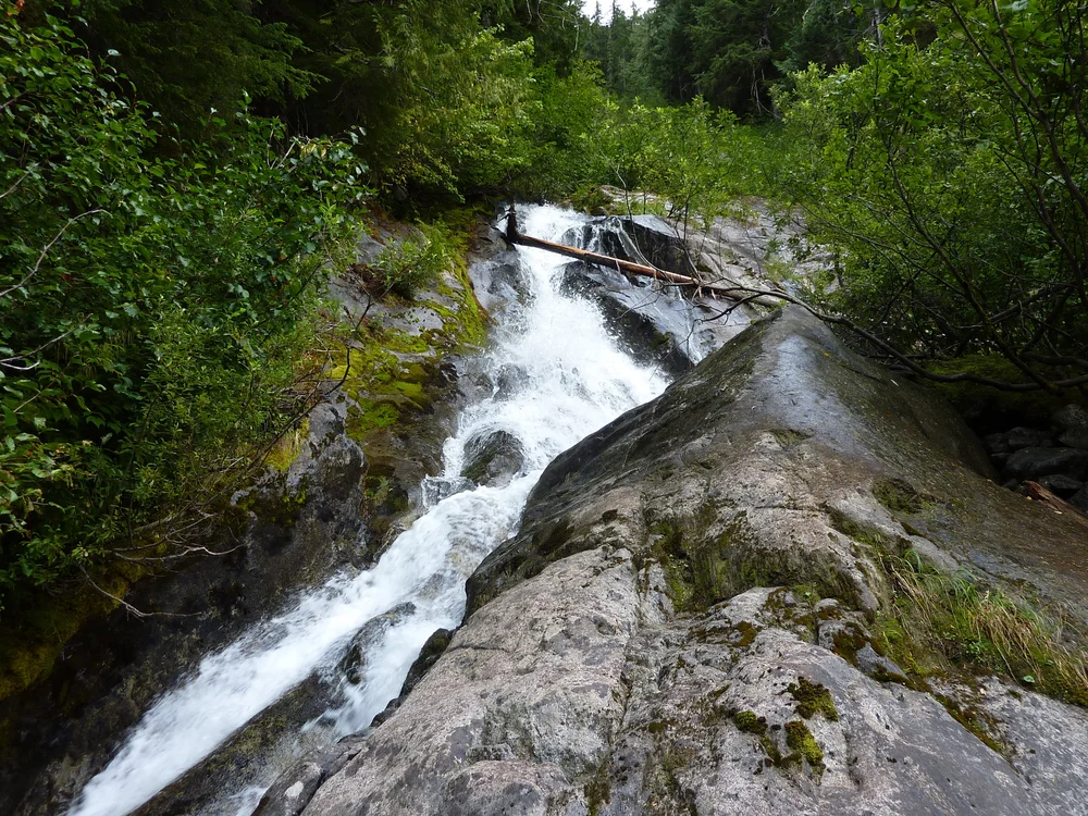Fast Steep Creek.JPG