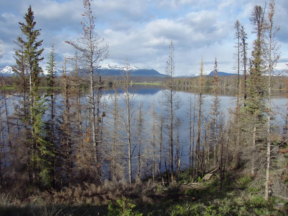 lake with mountains behind.JPG