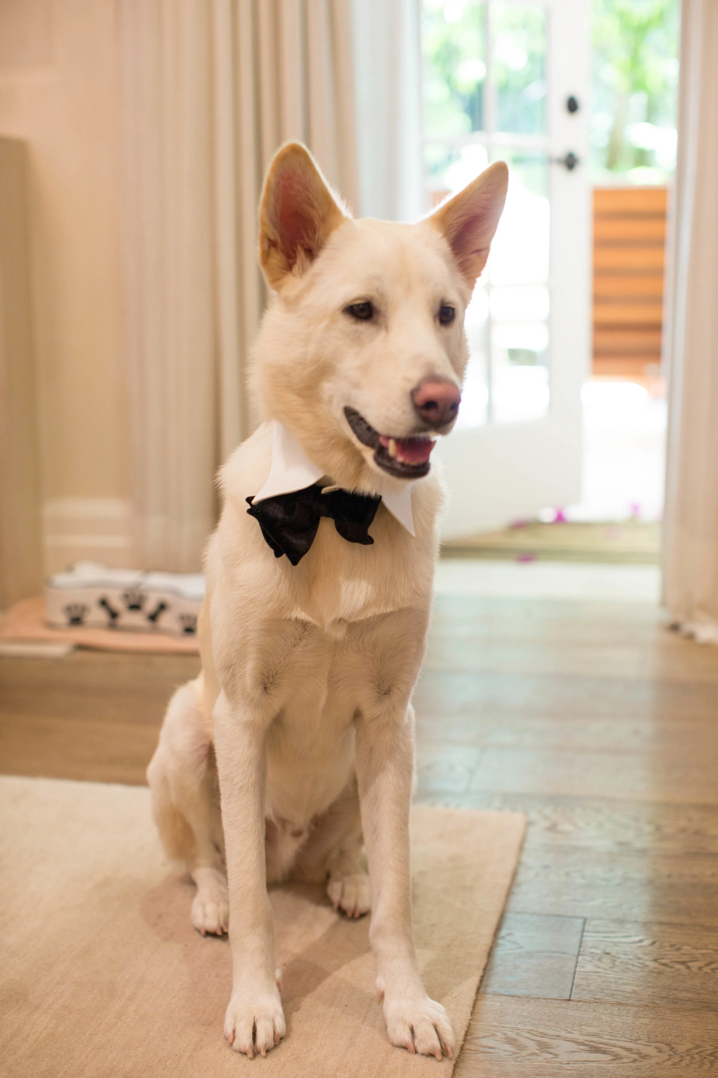 cluster events - judy and paul 5.jpg