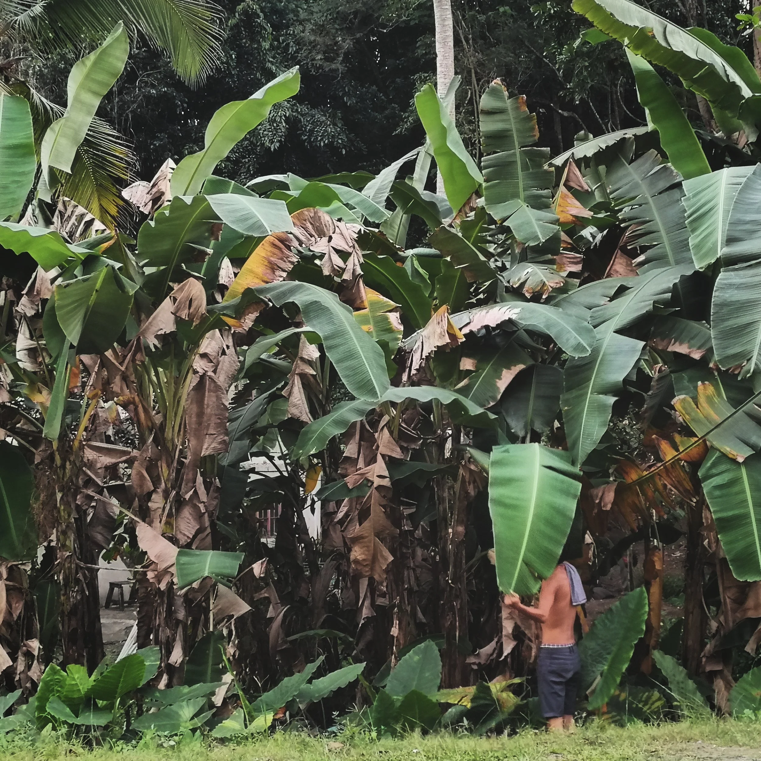 Revisiting The Philippines 2019