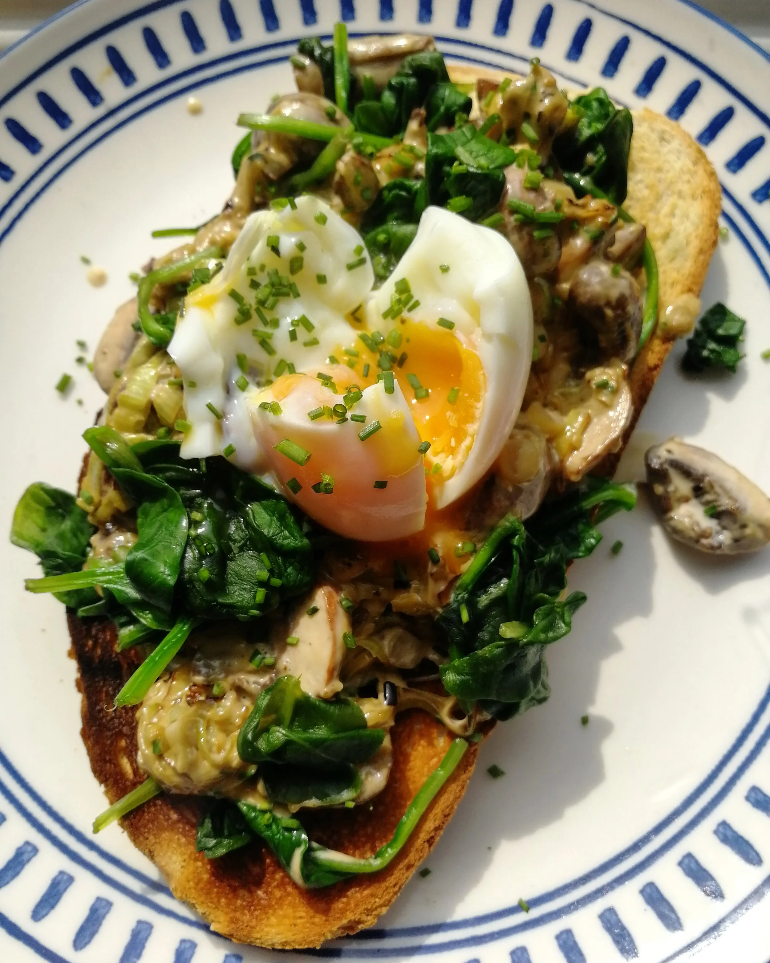 Sunshine Eggs 