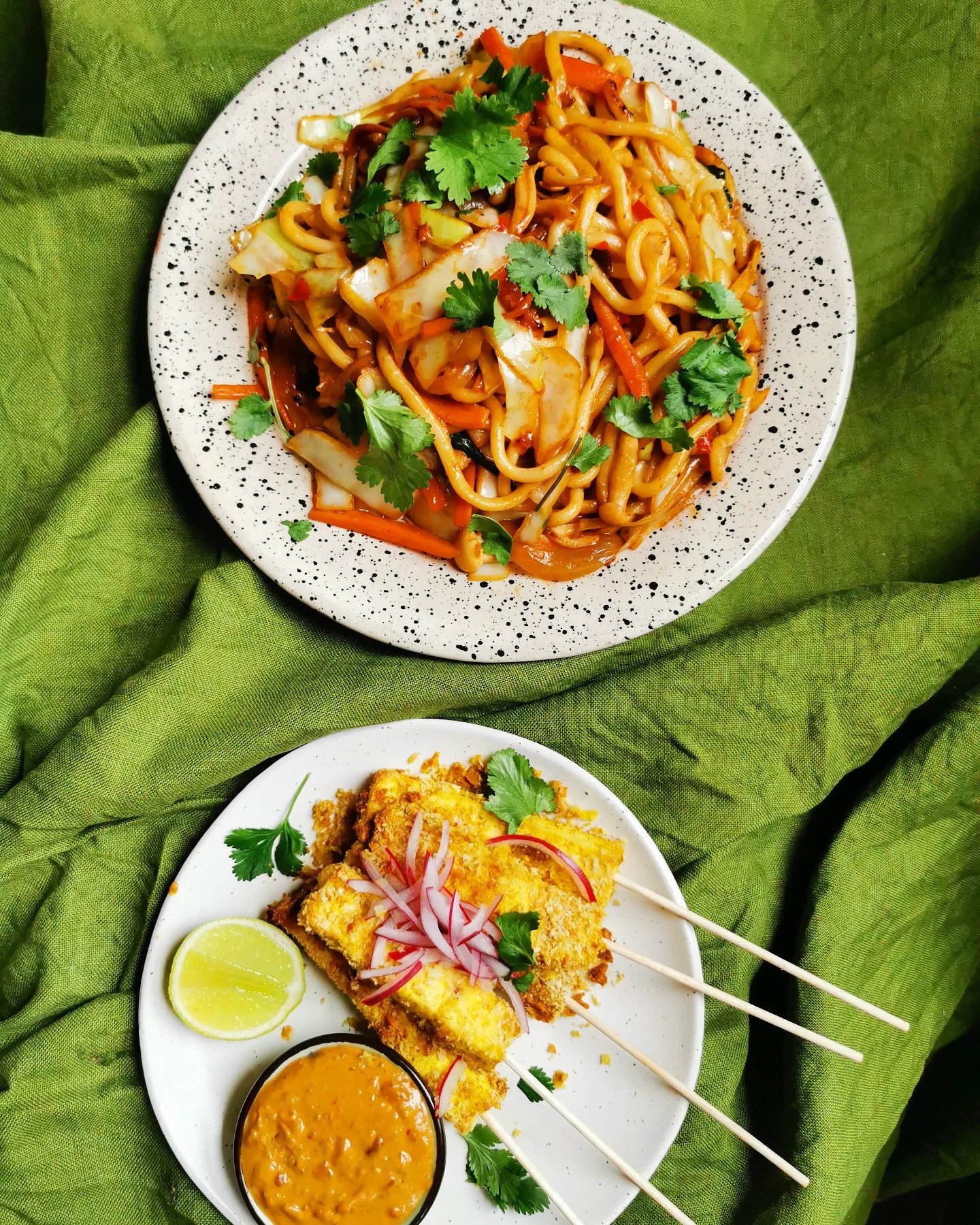 Tofu Satay skewers and Mixed Veg Udon Noodles