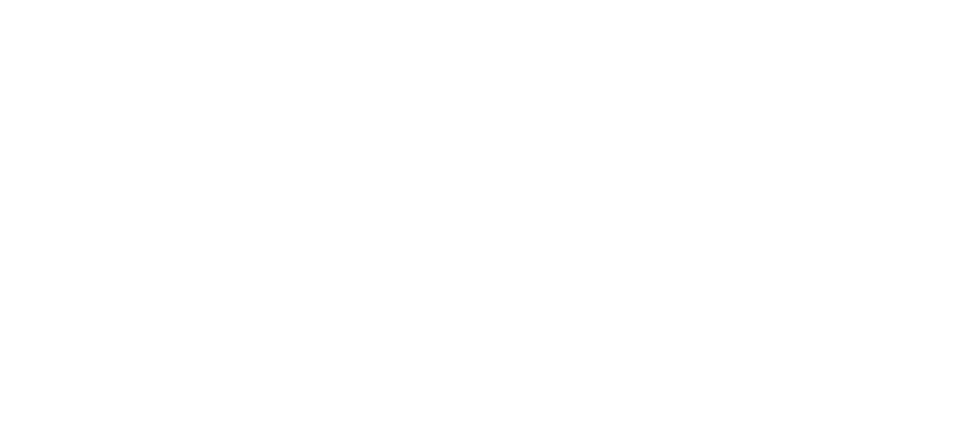 SCHULTZ SERVICES -logo-white (1).png