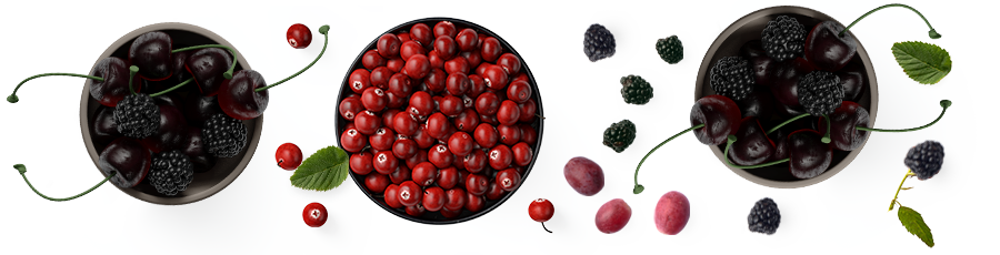 Bourgeron-Rouge.png