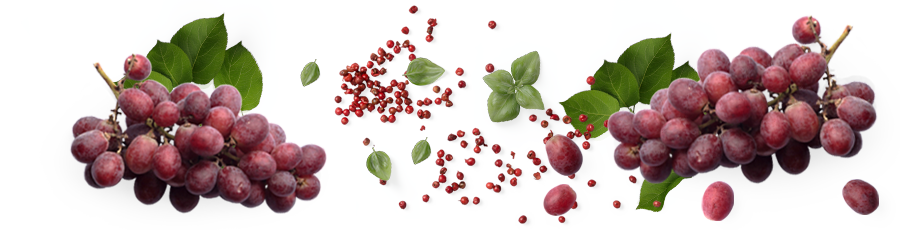 Barolo.png