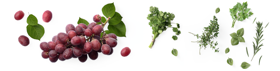 Cabernet-Franc.png