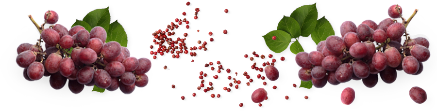 Ruby-Cabernet.png