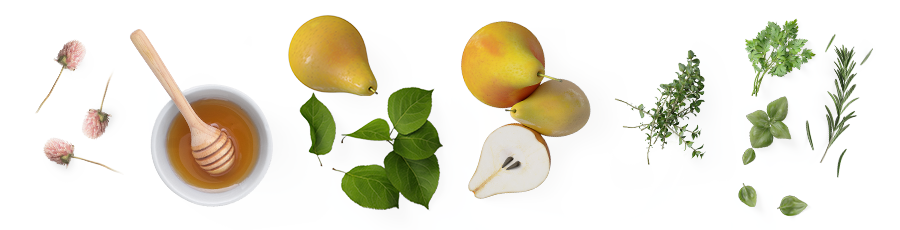 Gribiano-fruity.png