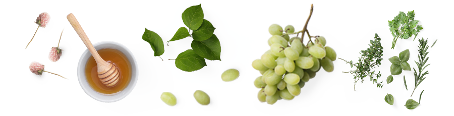 Pinot-Grigio.png