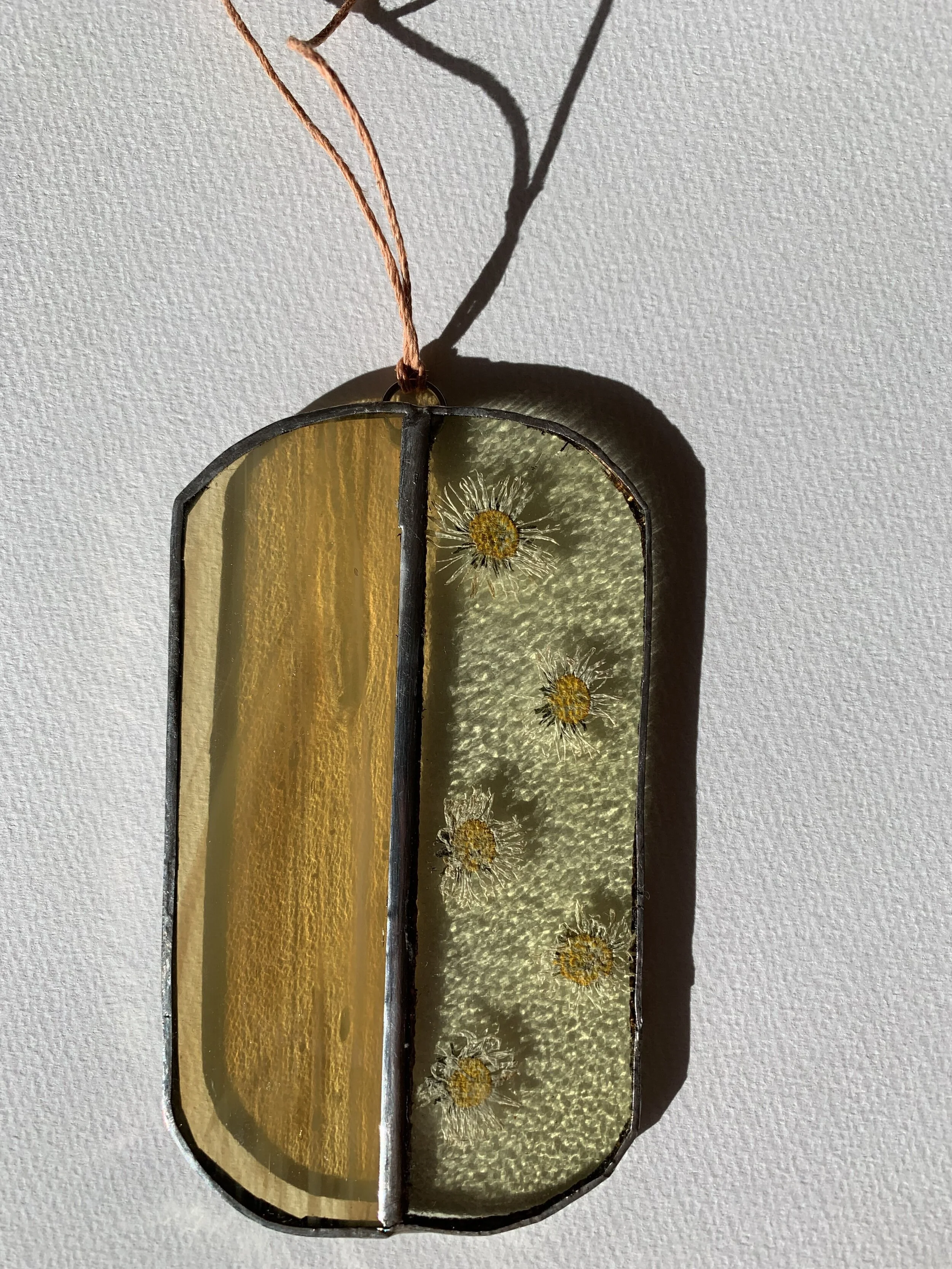 Te Voy a Mostrar1.jpeg