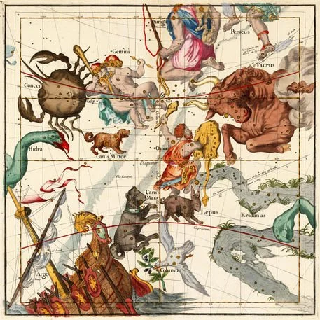 gemini-orion-cancer-taurus-canis-major-canis-minor-and-other-constellations-dot-7800x7800.jpg