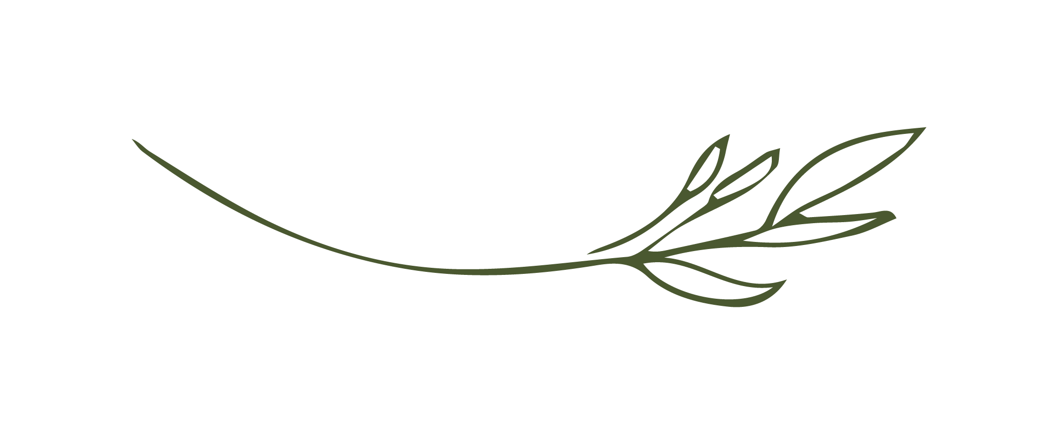 The Fresh Bloom_Twig-Moss.png