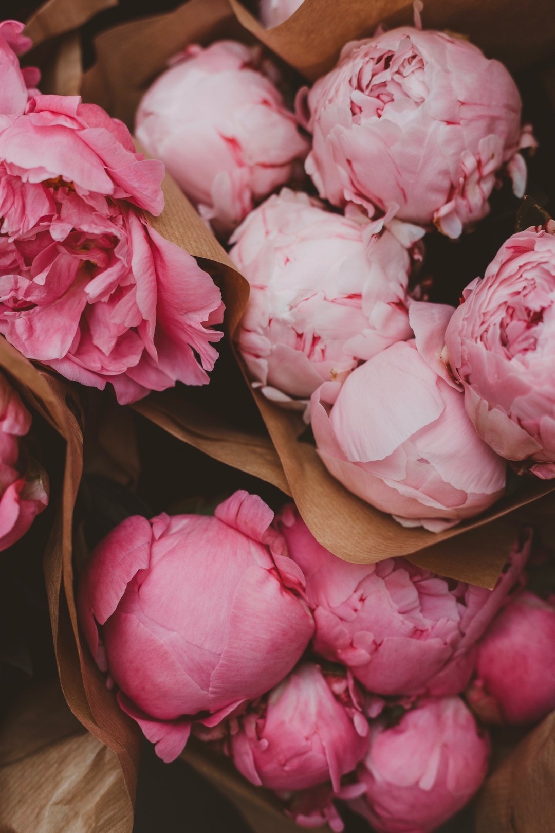 Celebrate Mother&rsquo;s Day with her favorite flower! 300 peonies are coming our way! Do yourself a favor and reserve yours today!