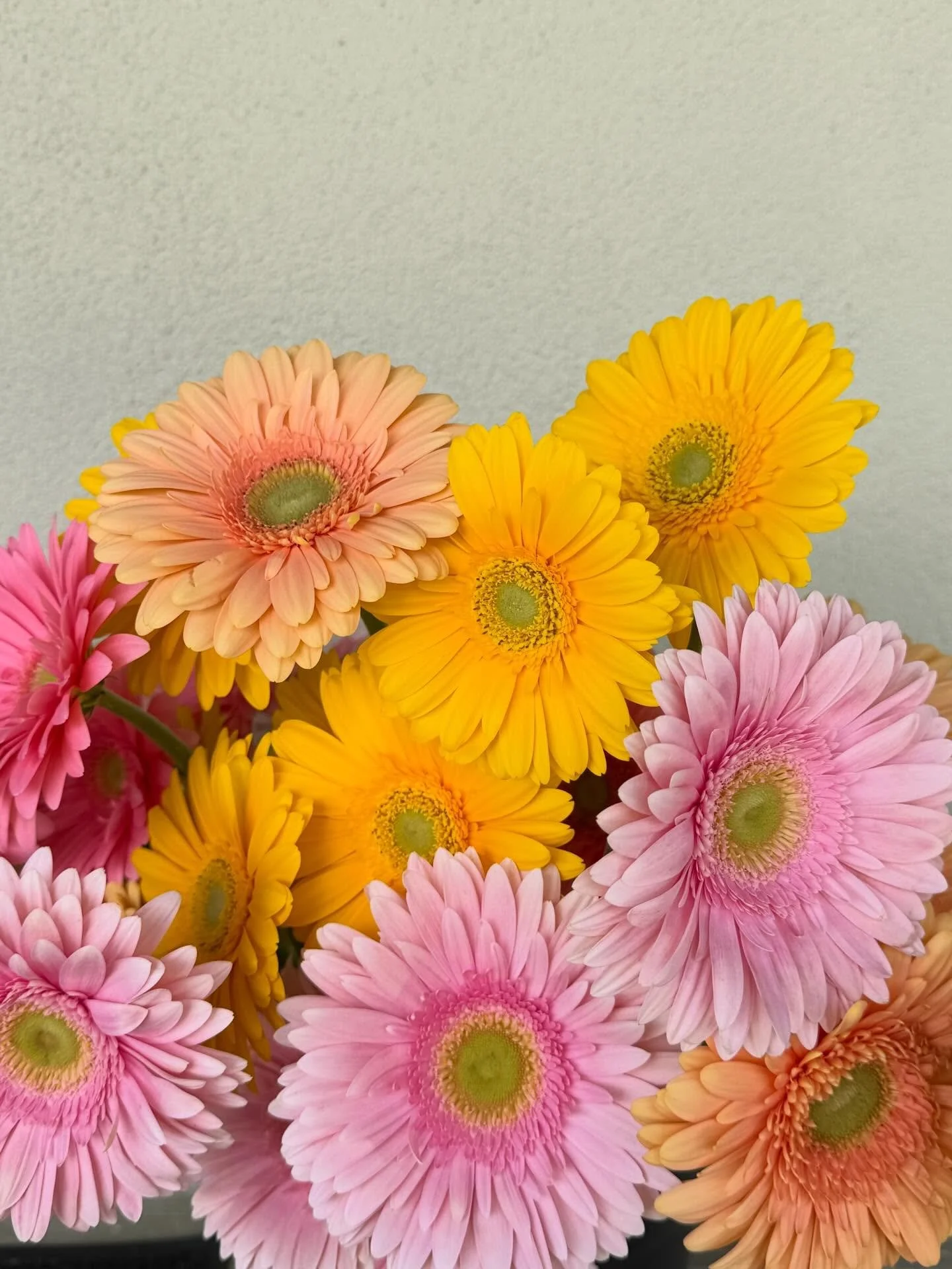 It&rsquo;s looking like spring over here! We are here for it 🌼