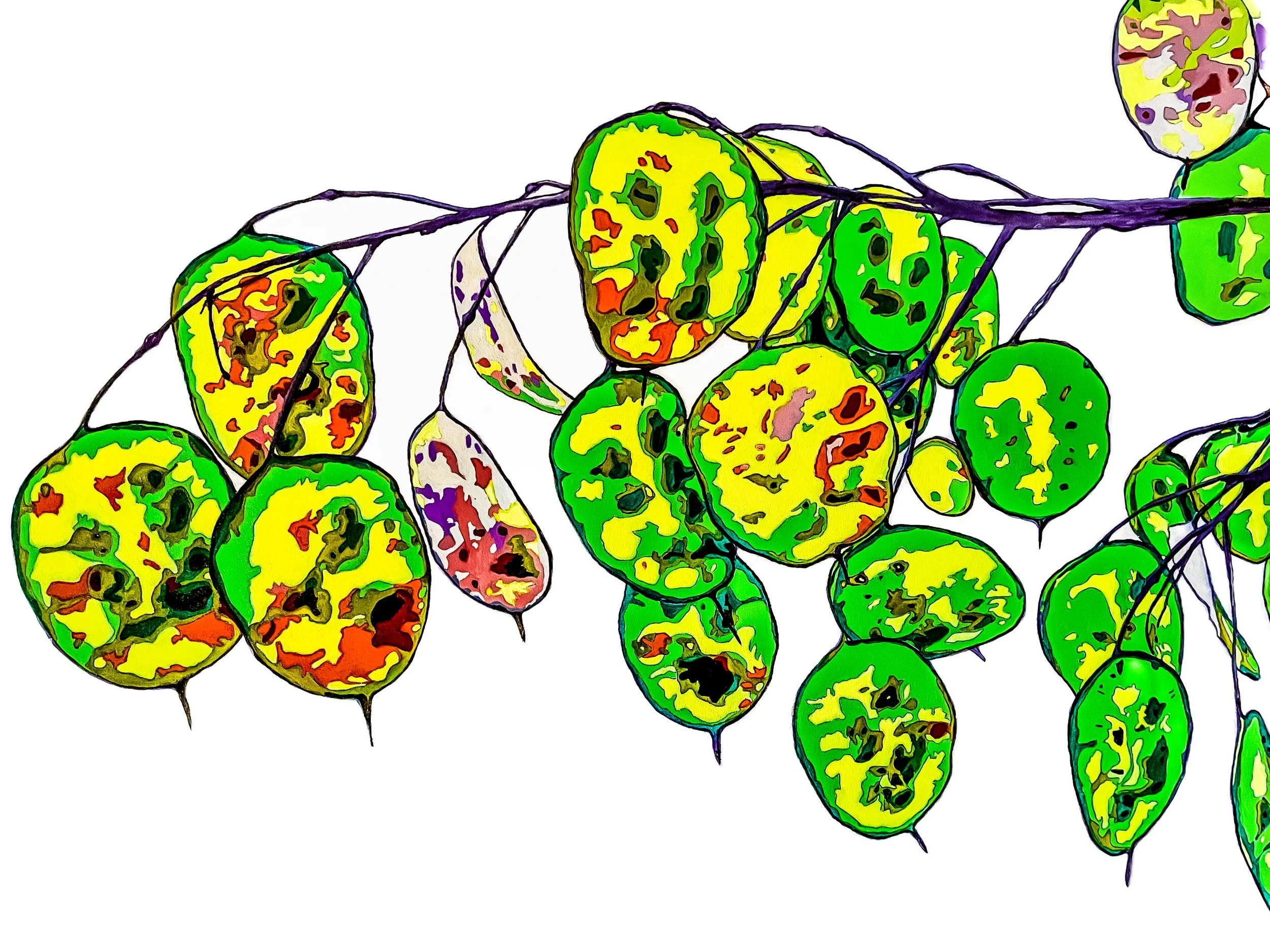 'Silver Dollar' oil on hardboard