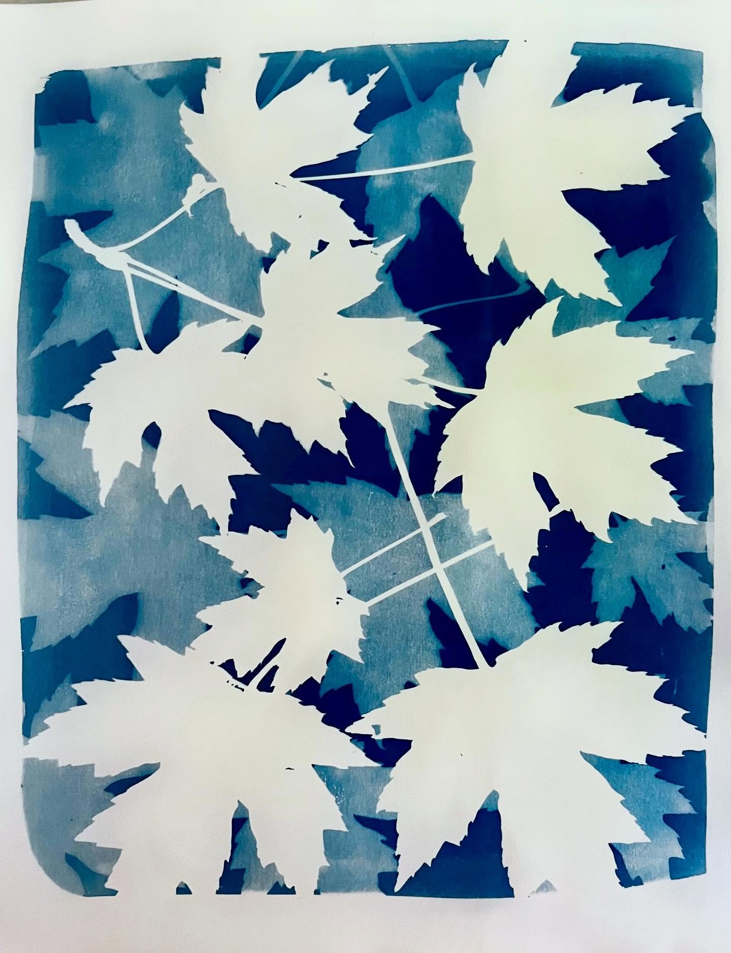 it&rsquo;s been many years since I consistently made cyanotypes and it feels good to get back into it again! I&rsquo;m finding lots of inspiration in my backyard and the process feels peaceful and necessary to me right now.
.
.
This one might be in a