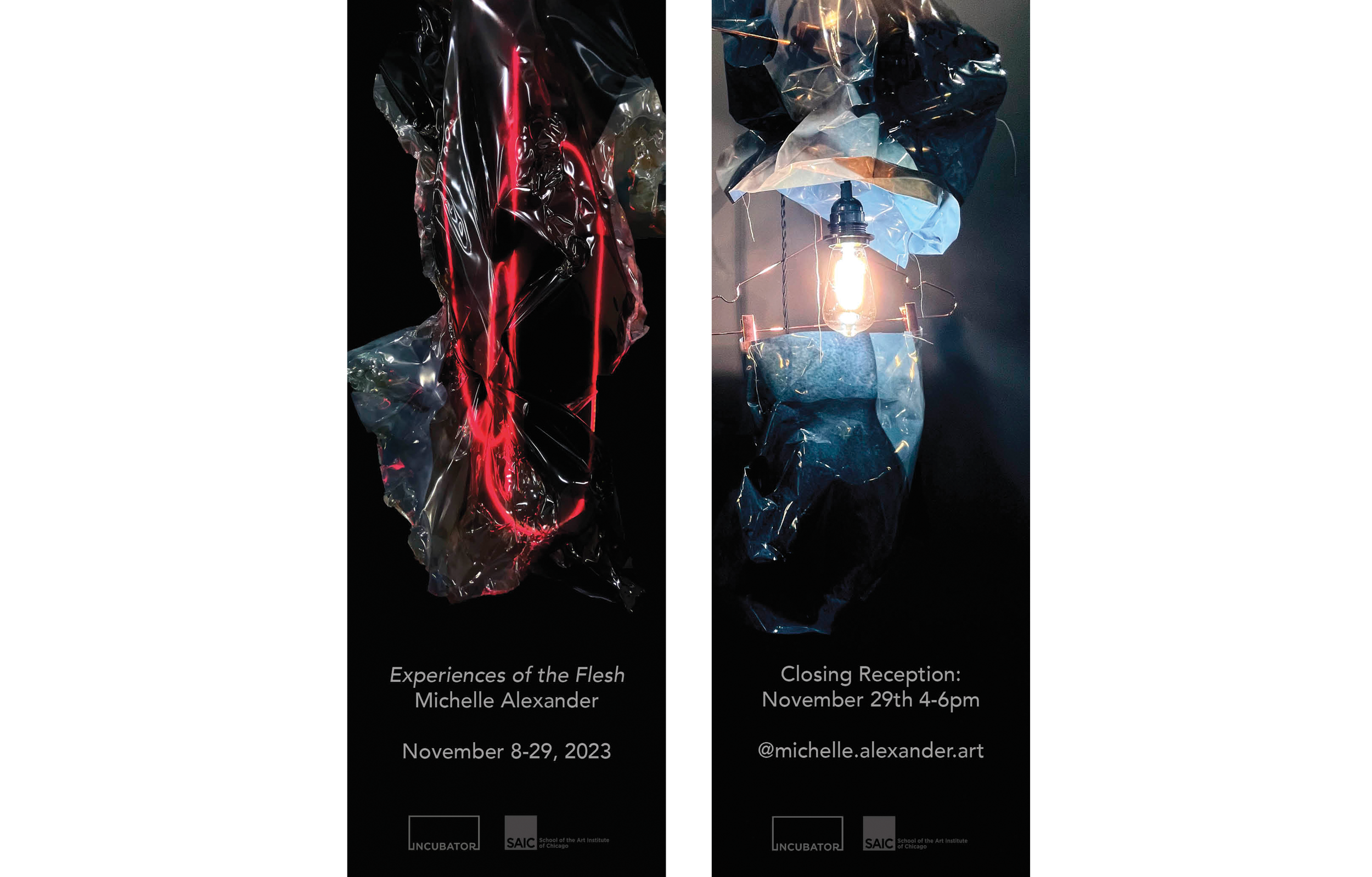 MichelleAlexander Bookmark Website.png