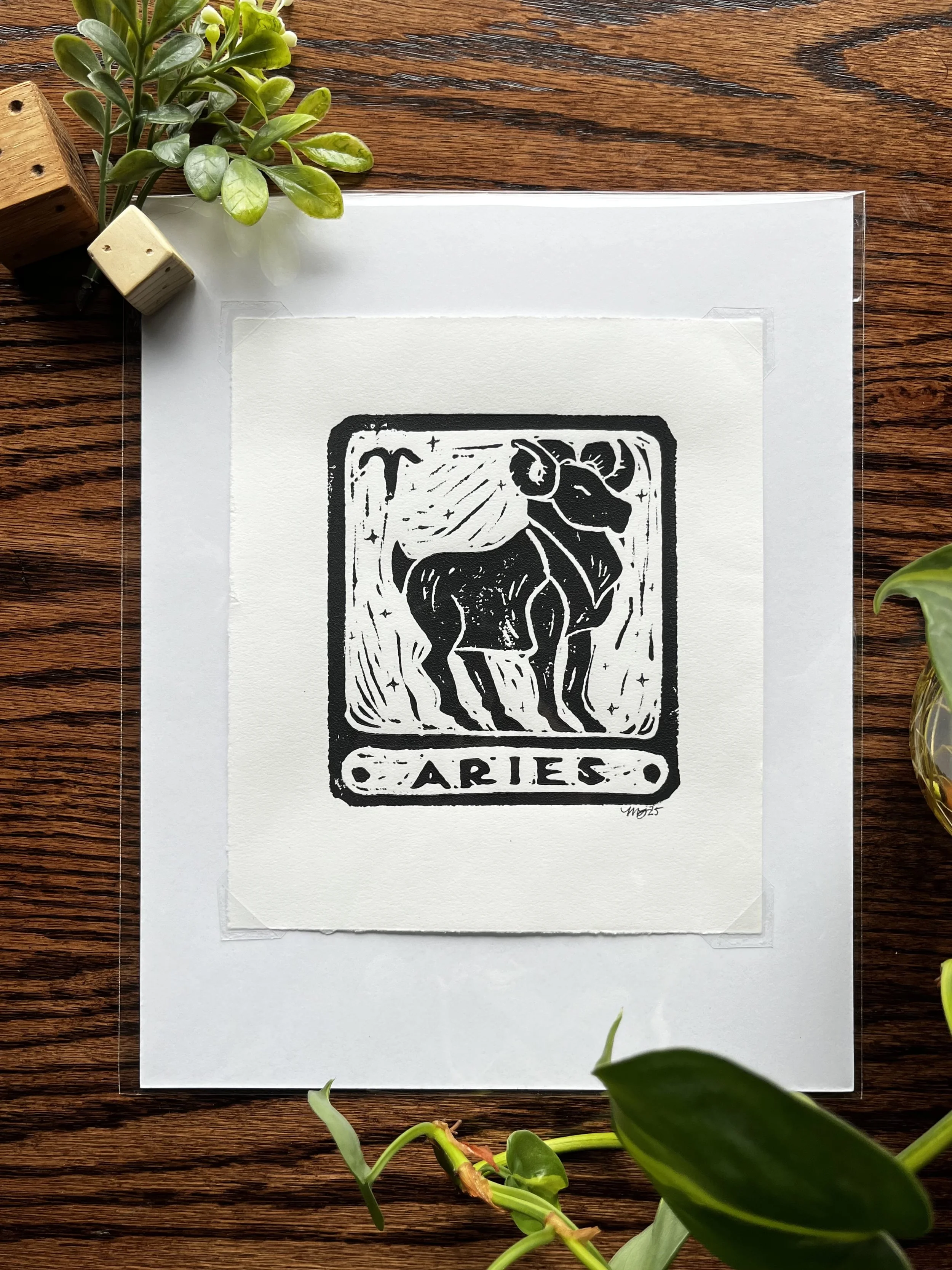 1-Aries.jpeg
