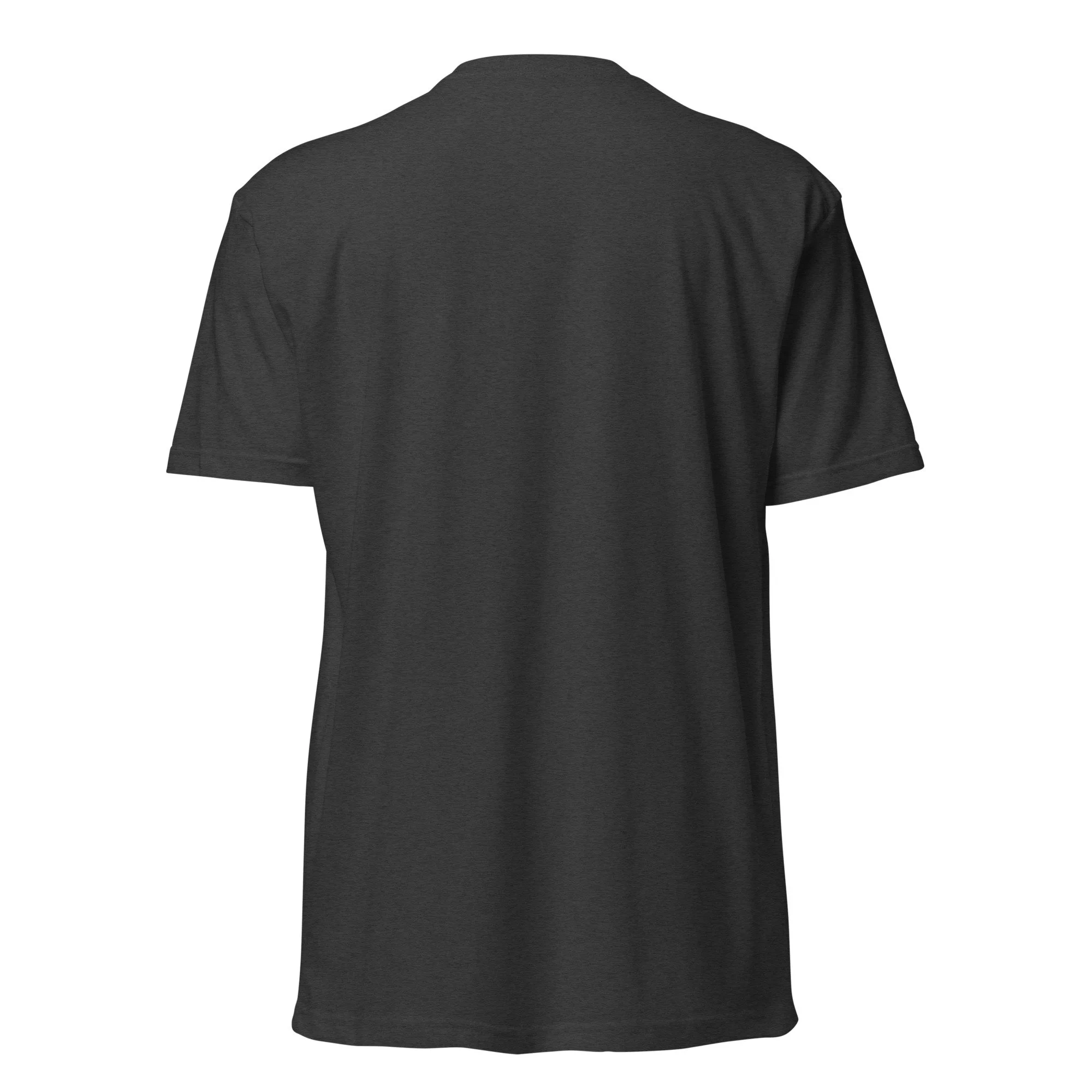 unisex-cvc-t-shirt-charcoal-back-69cdbe7e34c20.jpg