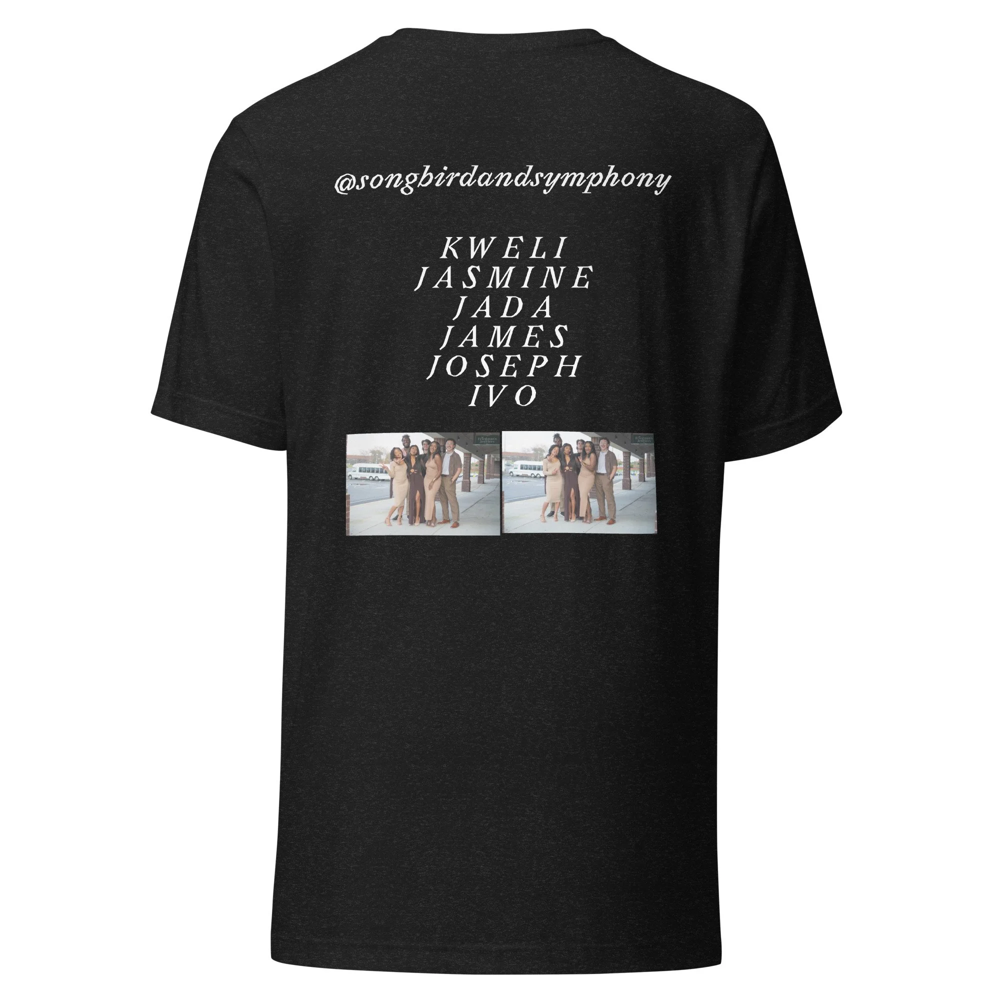 unisex-staple-t-shirt-black-heather-back-69dad44e95967.jpg
