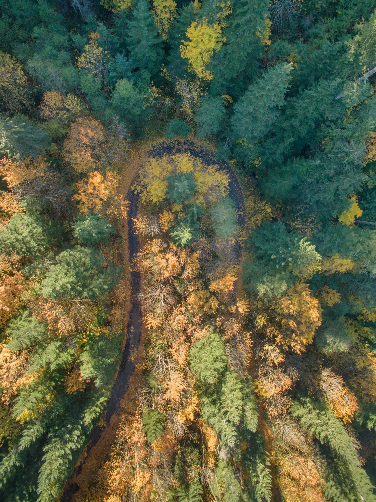 FallColors-0012.jpg