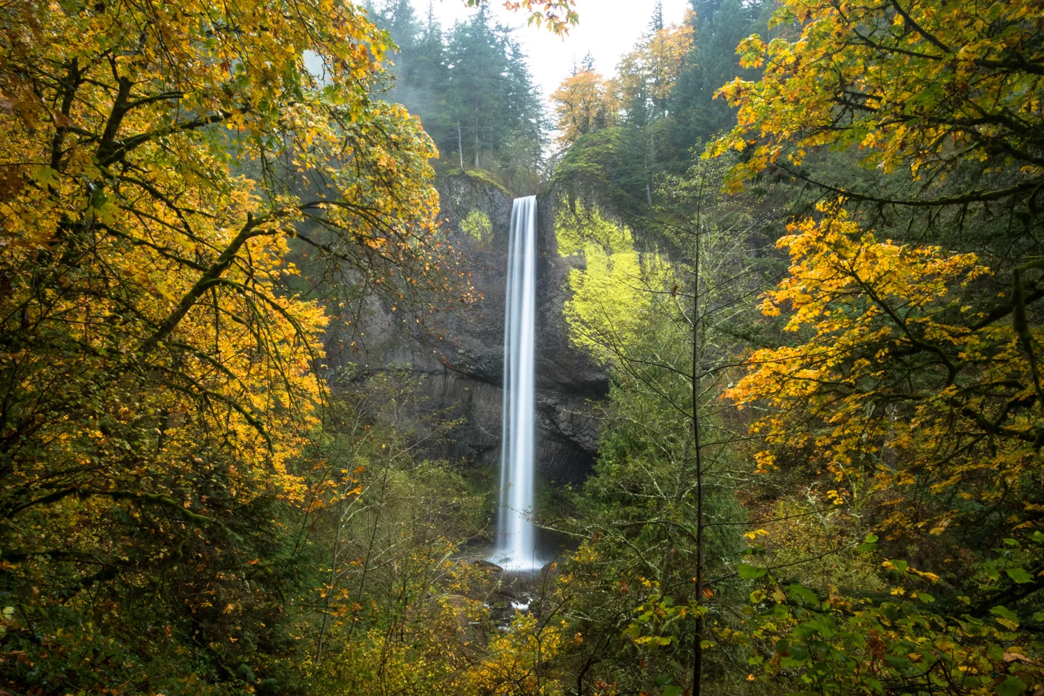 ColumbiaRiverGorgeFall-4088.jpg