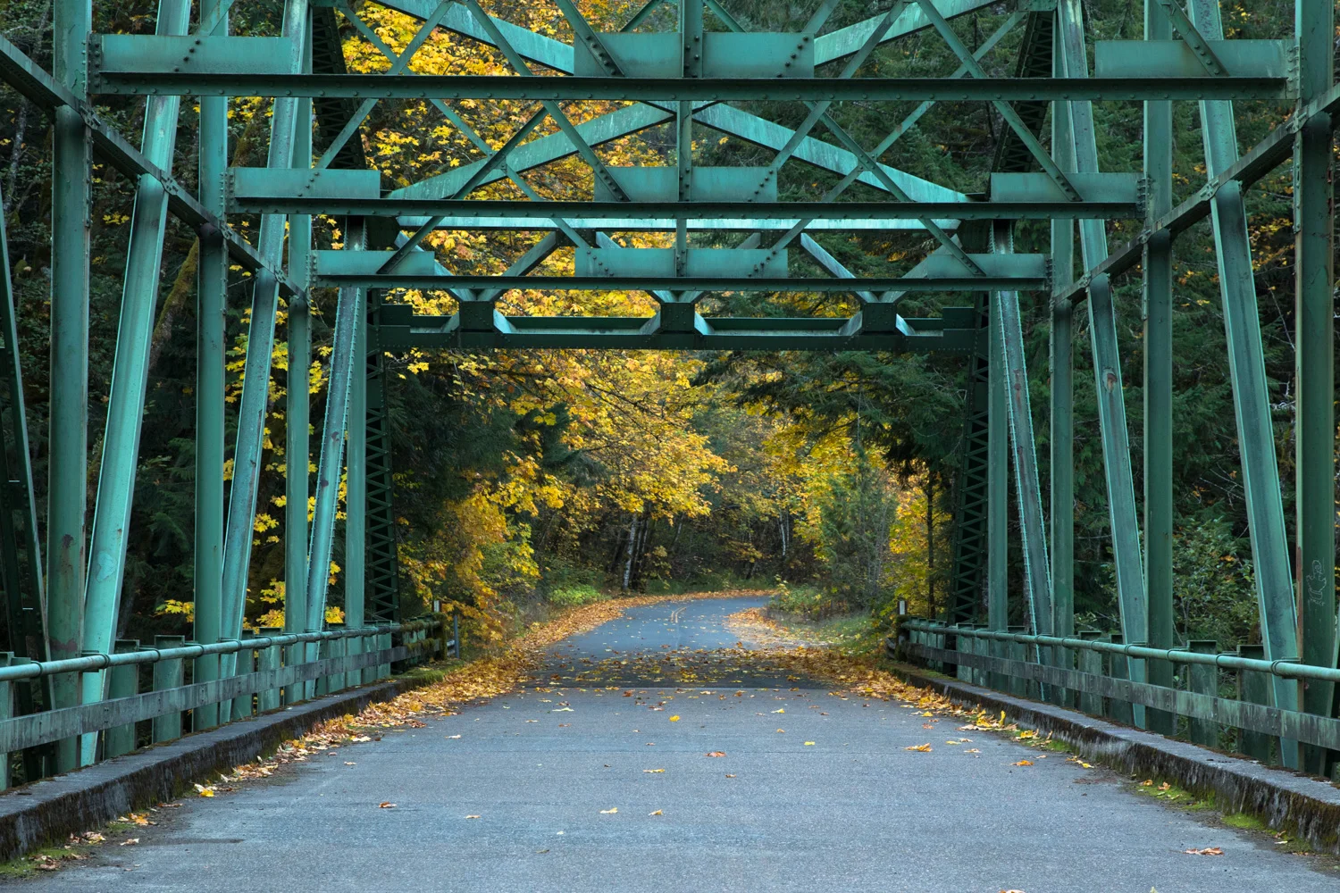 FallColors-9806-Edit.jpg
