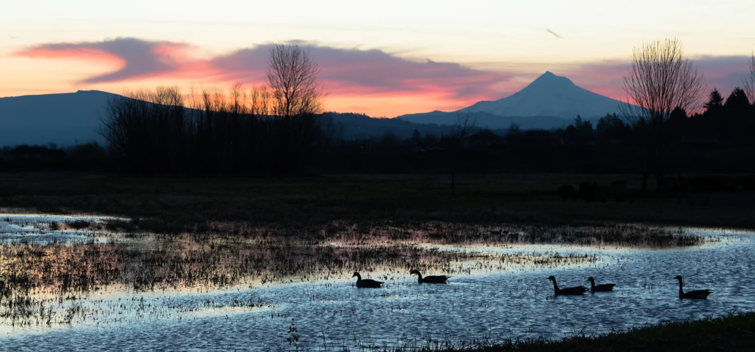 MtHoodSunrise-0158.jpg