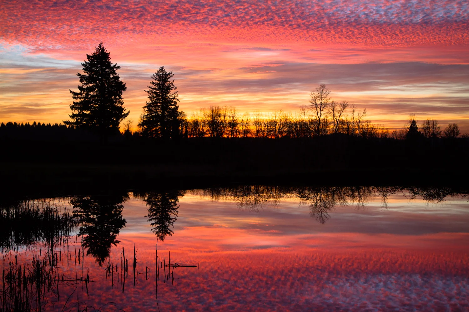 SunsetReflection-0379.jpg