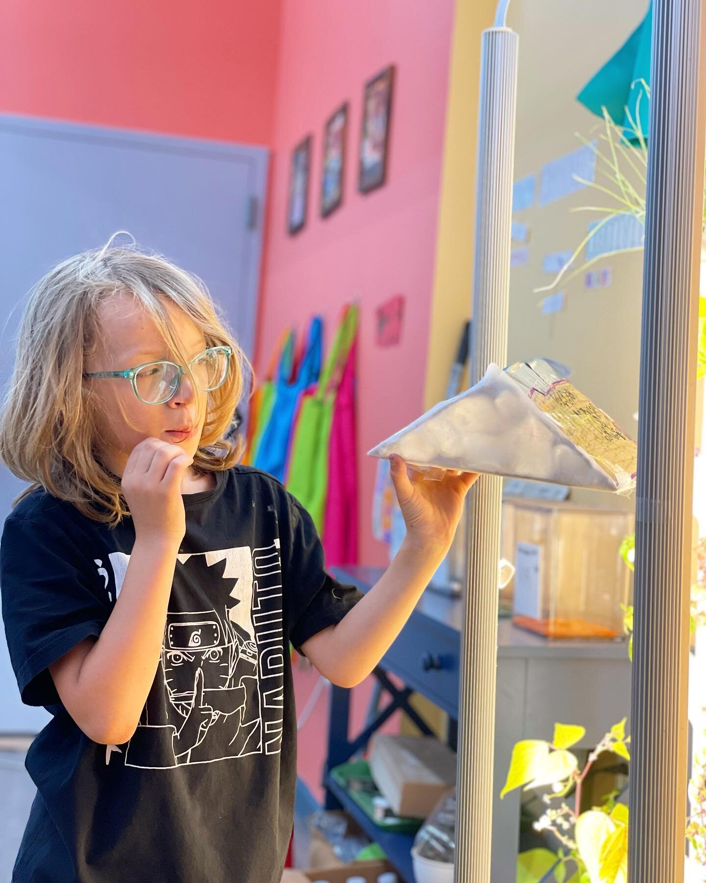 Urban STEAM Lab