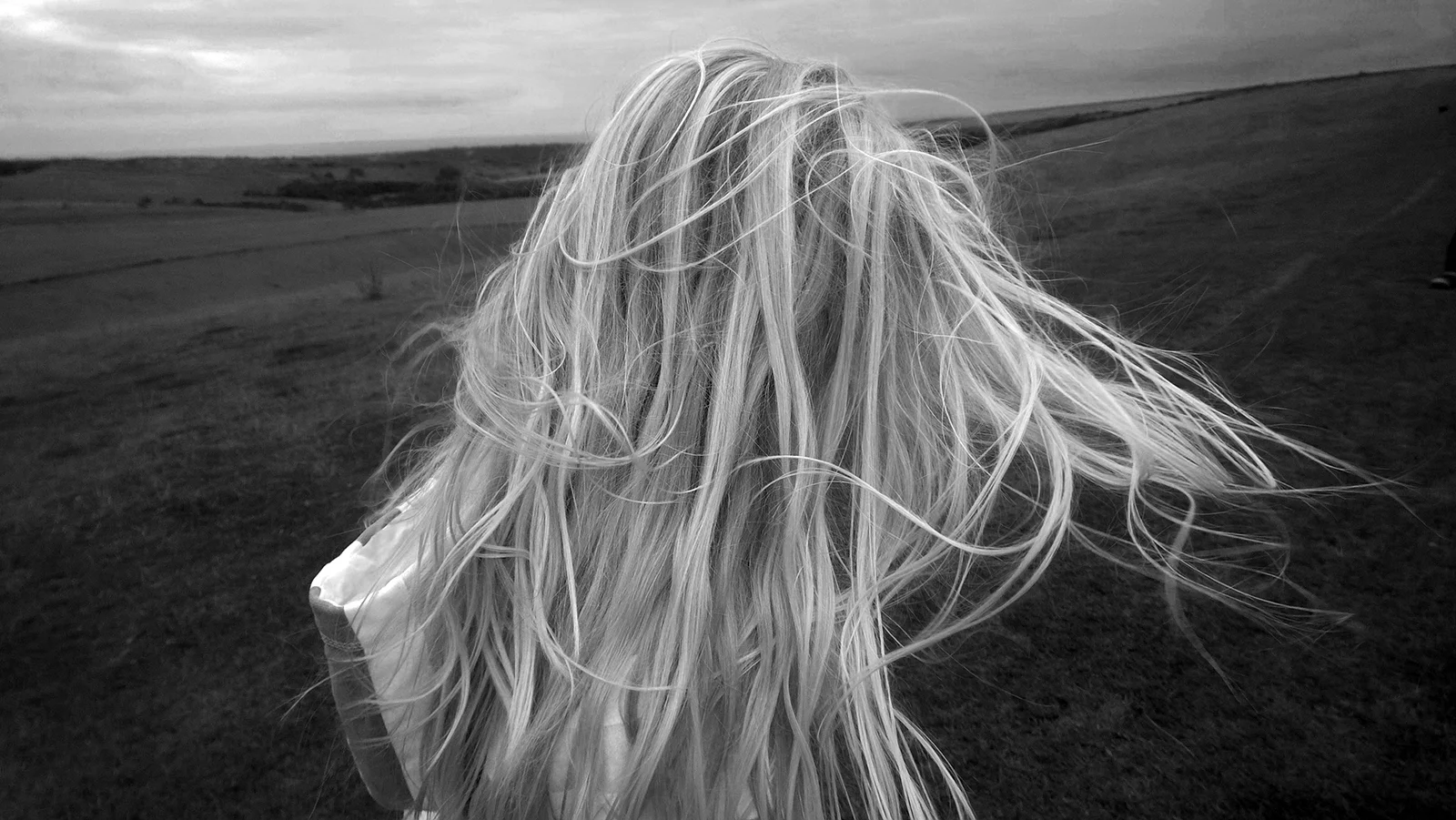 A windy day on the South Downs, UK © Tanya Clarke 2014