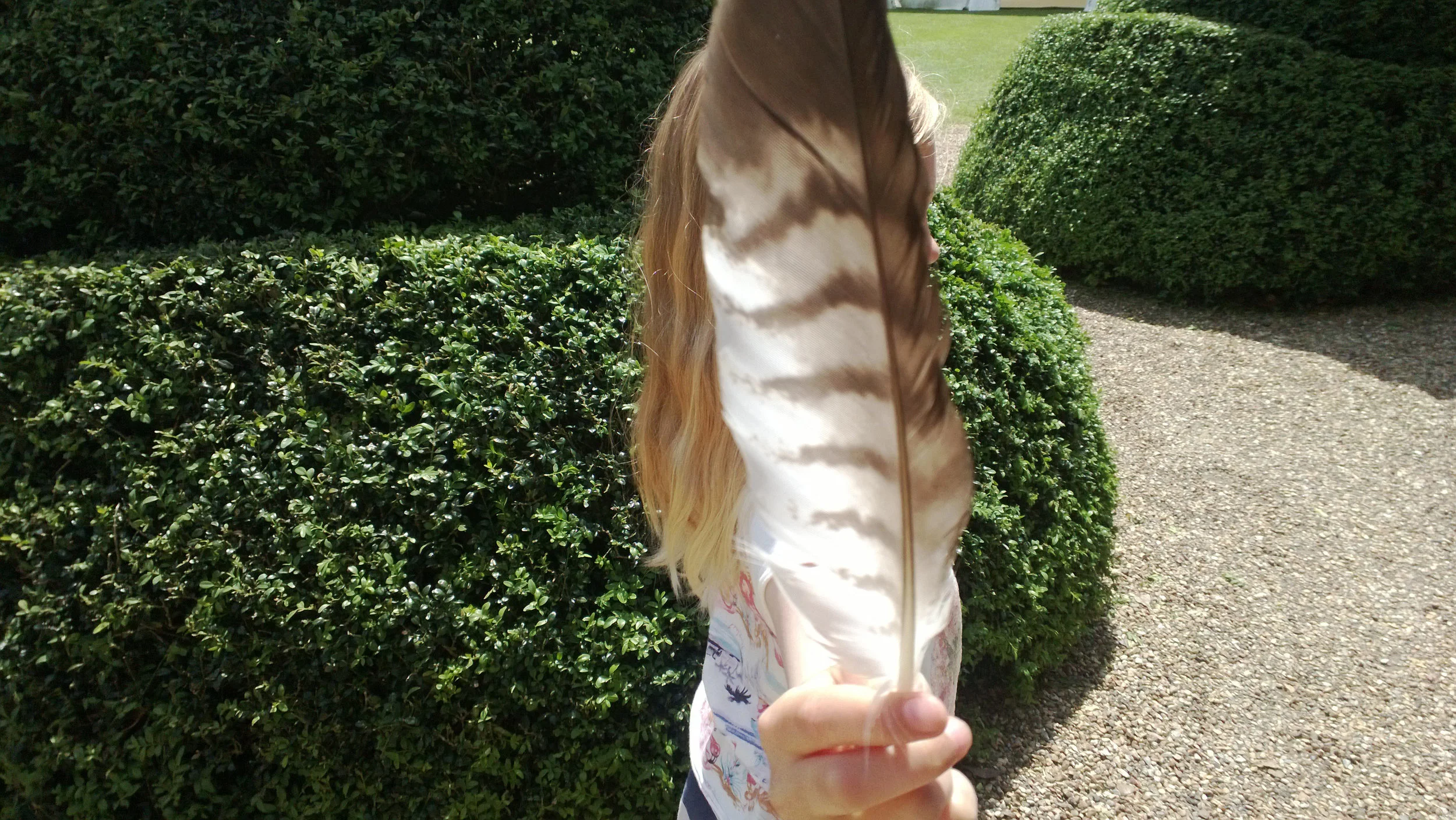 Feather, France © Tanya Clarke 2013
