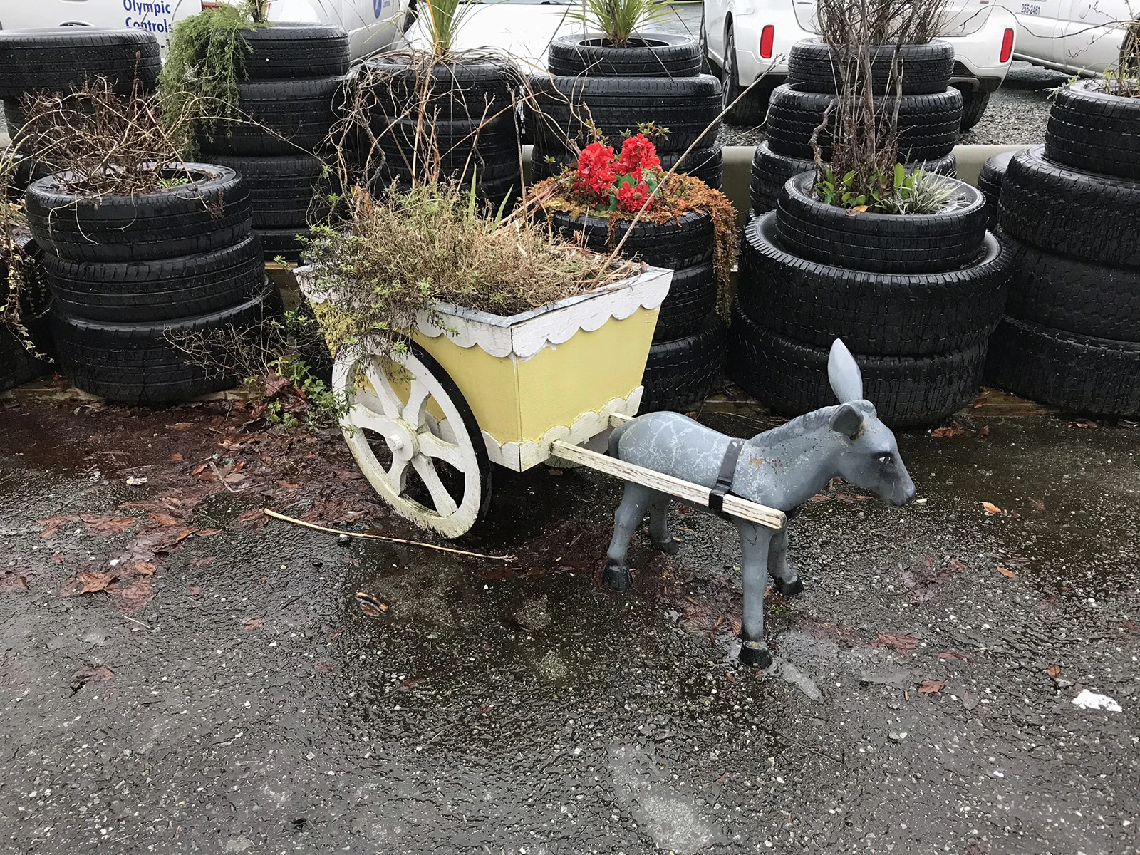 Donkey and cart plant container, North Vancouver 2019 © Tanya Clarke