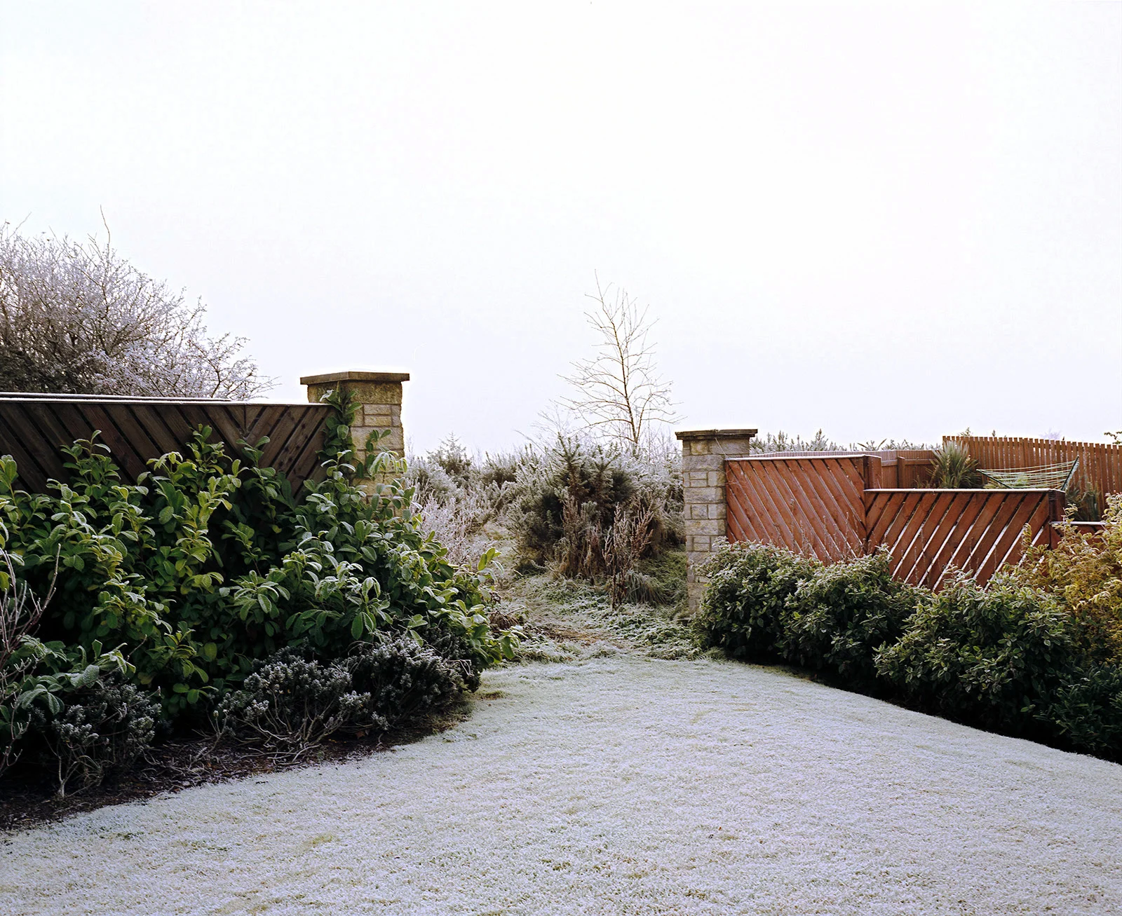 Falkirk, Scotland. Photograph by Tanya Clarke