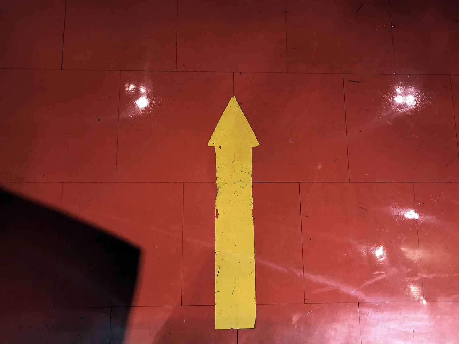 Top of the escalator, Loblaws City Market, North Vancouver, 2017