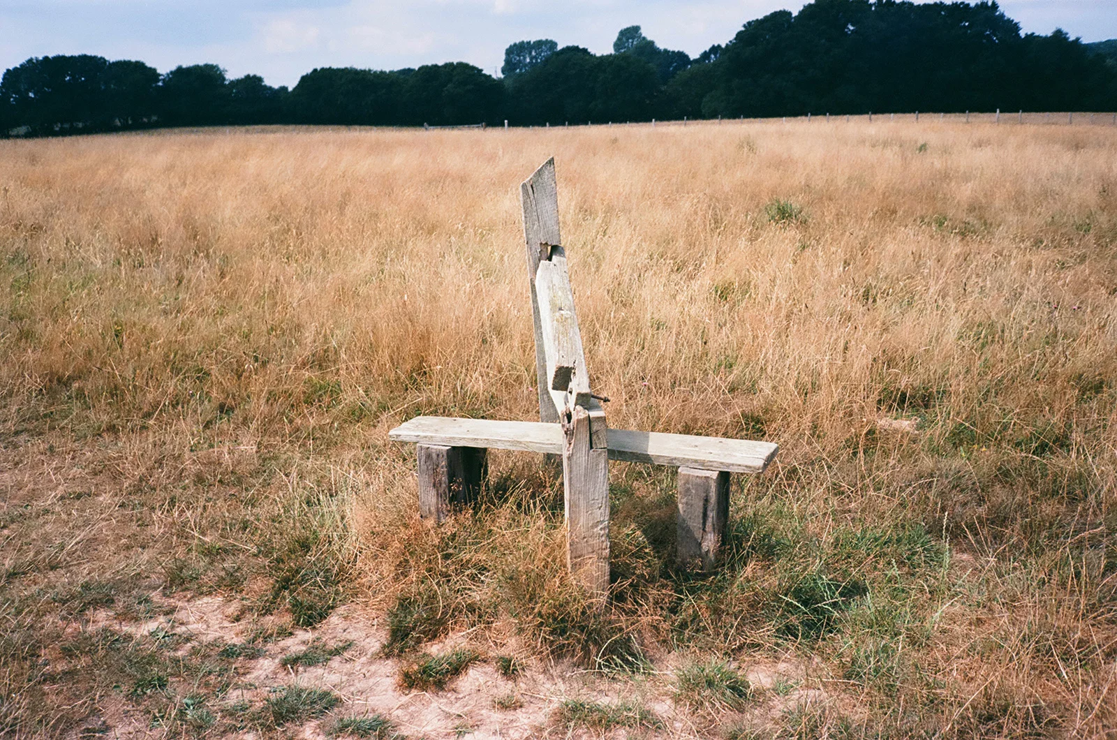 In a field in Sussex, UK 2018