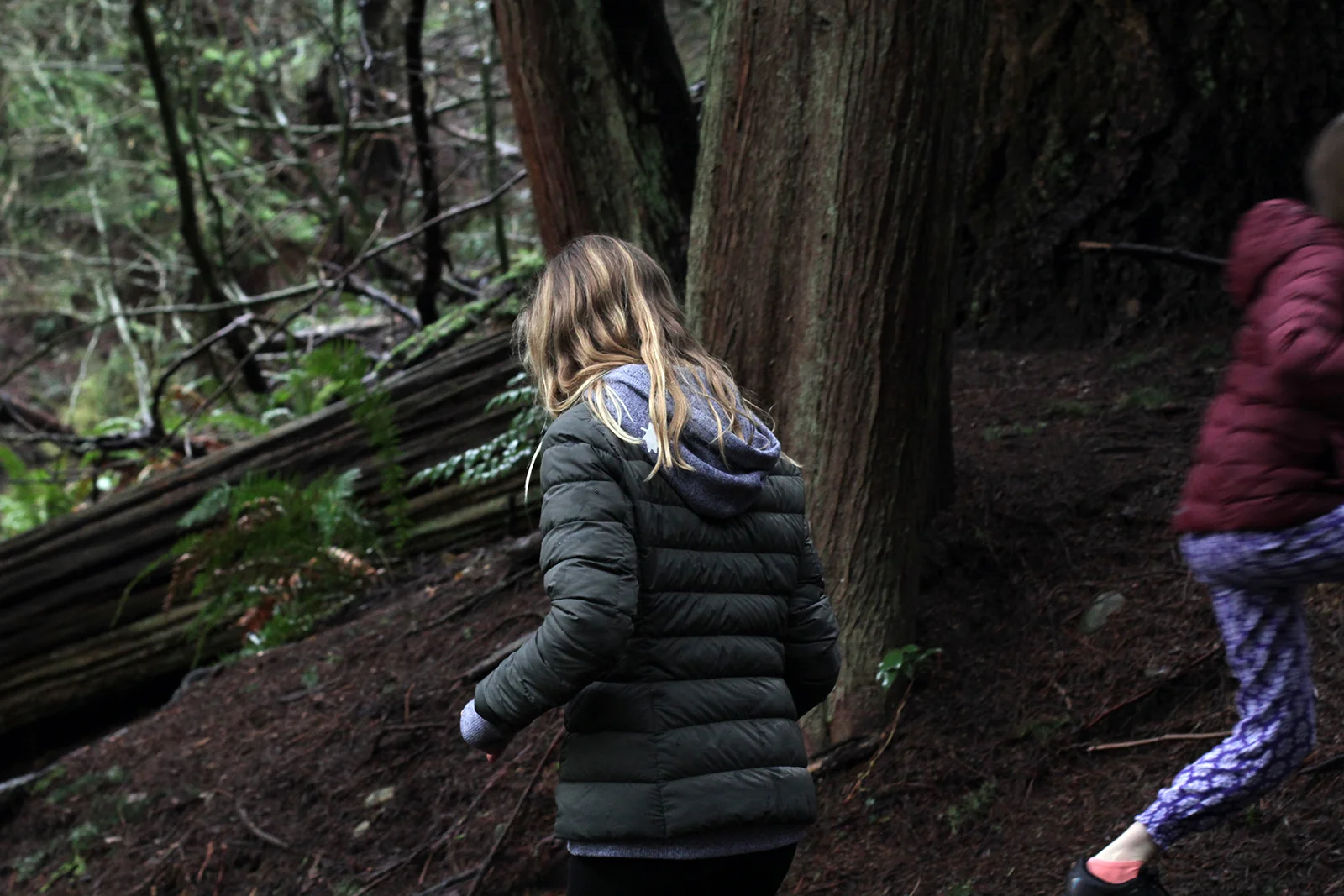 Deep cove quarry walk, Vancouver 2018