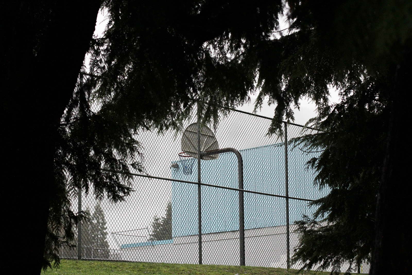 Basketball net
