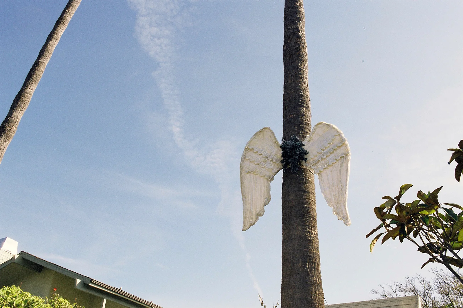 In Venice, Los Angeles 2007
