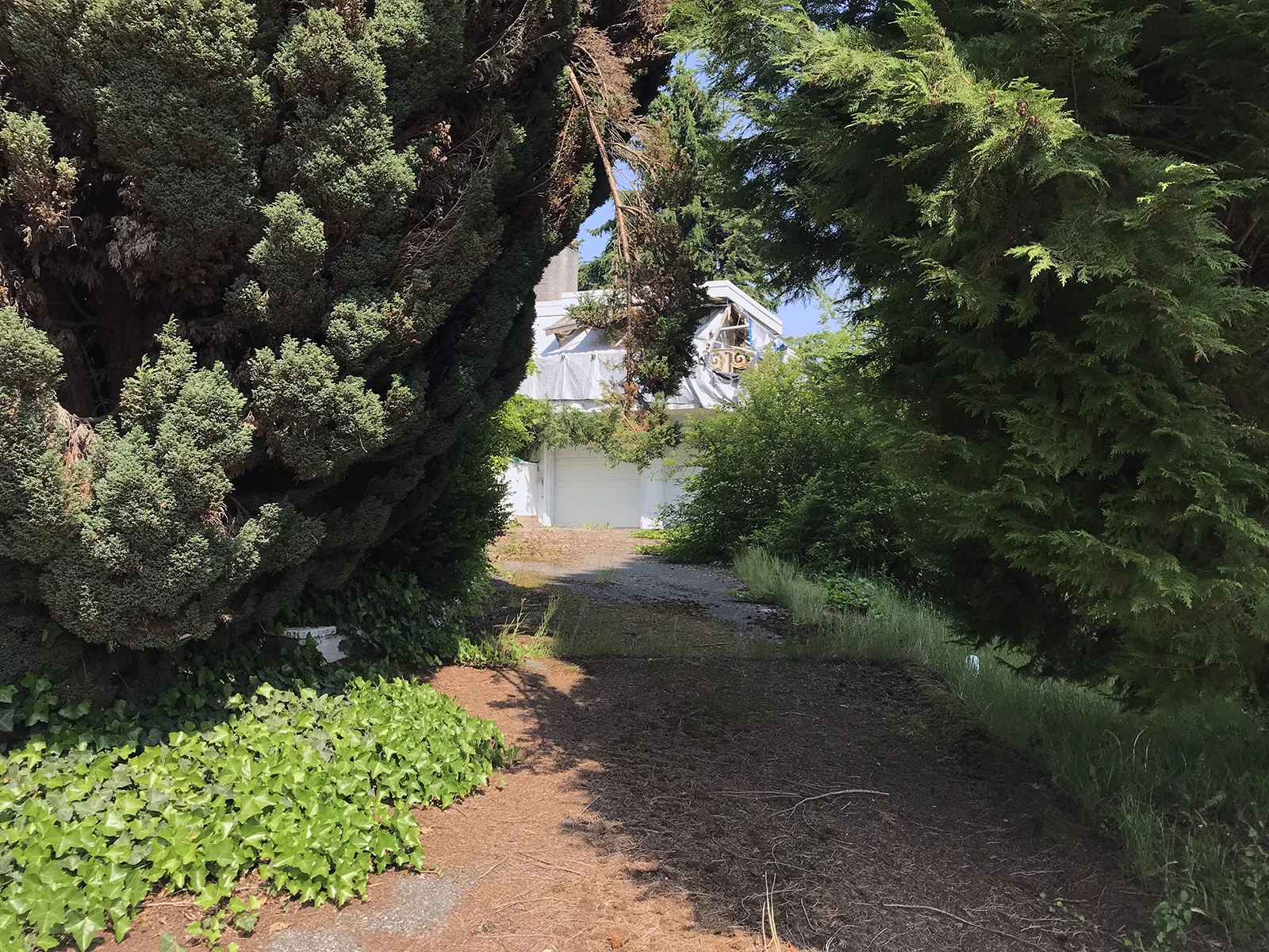 North Vancouver, 2019