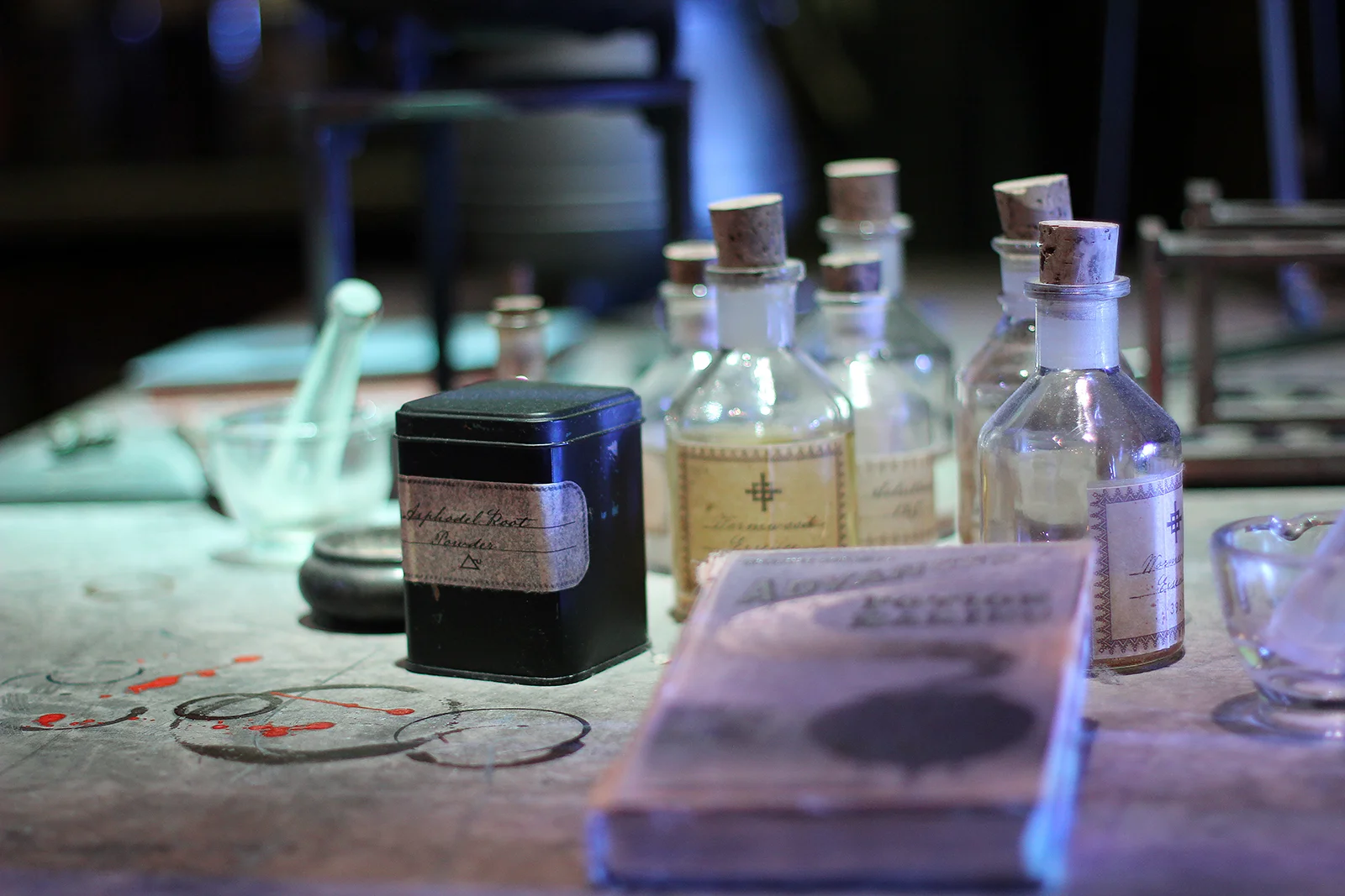 The Making of Harry Potter, Leavesden, UK, 2014