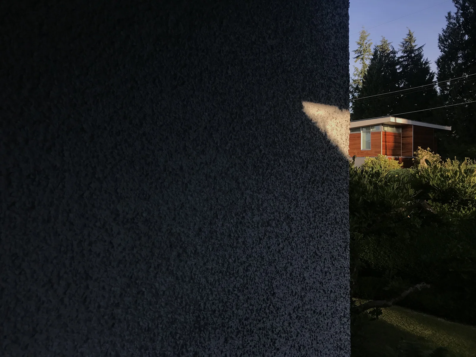 House, 2019